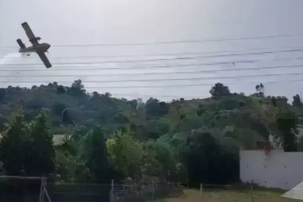 Φωτιά στη Ναυπακτία: Παραλίγο τραγωδία στον αέρα – Καναντέρ προσέκρουσε σε πεύκο [βίντεο]