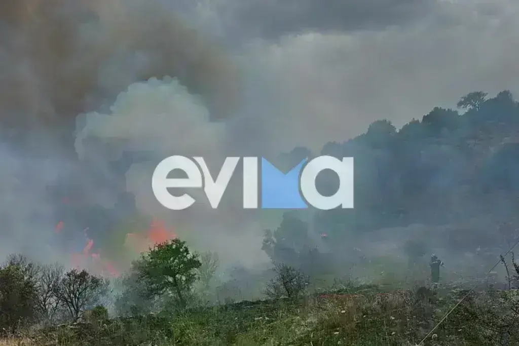 Φωτιά στην Εύβοια: Ήχησε το 112 στον Αλμυροπόταμο – Στη μάχη της κατάσβεσης και εναέρια μέσα [