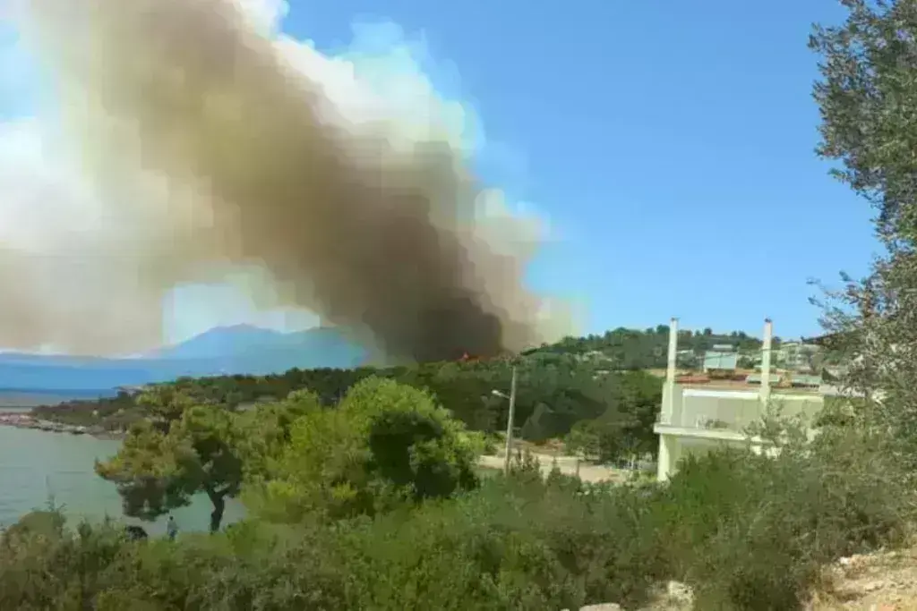 Μεγάλη φωτιά στην Εύβοια: Καίγεται δάσος, εκκενώνεται οικισμός – Ήχησε το 112 στη Νέα Αρτάκη