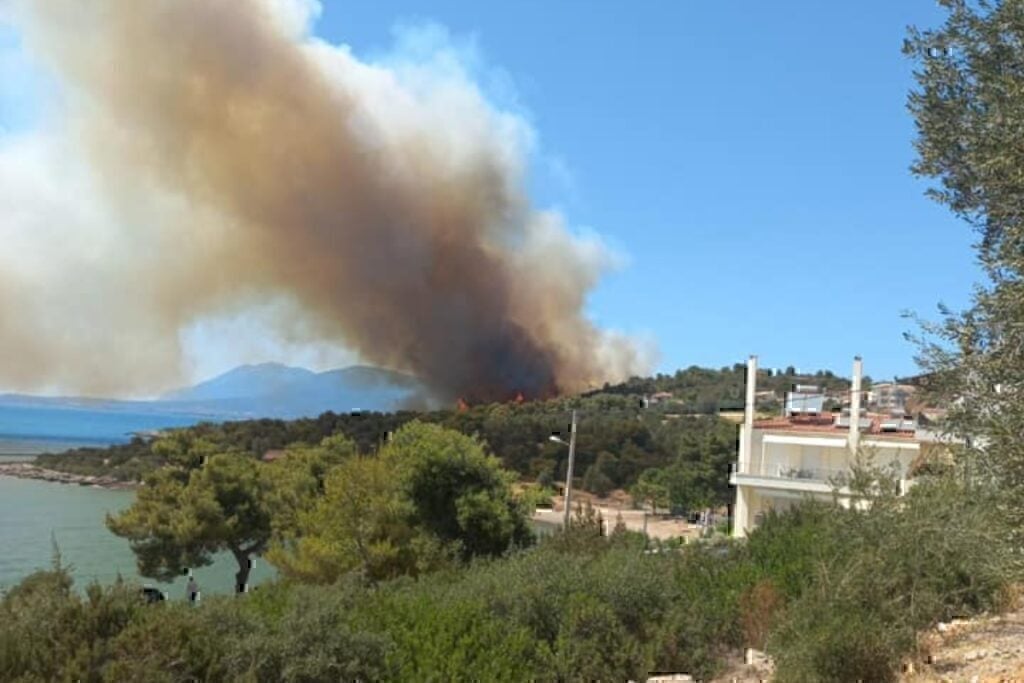 Μεγάλη φωτιά στην Εύβοια: Καίγεται δάσος, εκκενώνεται οικισμός – Ήχησε το 112 στη Νέα Αρτάκη