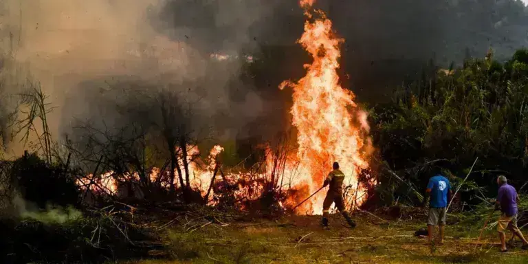 Φωτιά τώρα σε Λακωνία, Πιερία και Τζουμέρκα