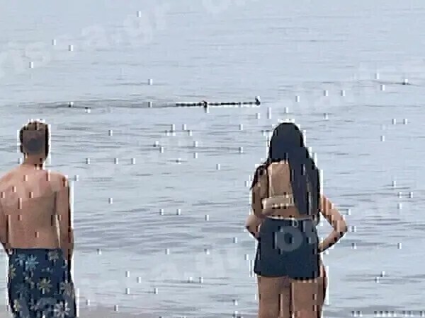 Καρχαριοειδές έκανε… βόλτες σε παραλία της Λάρισας