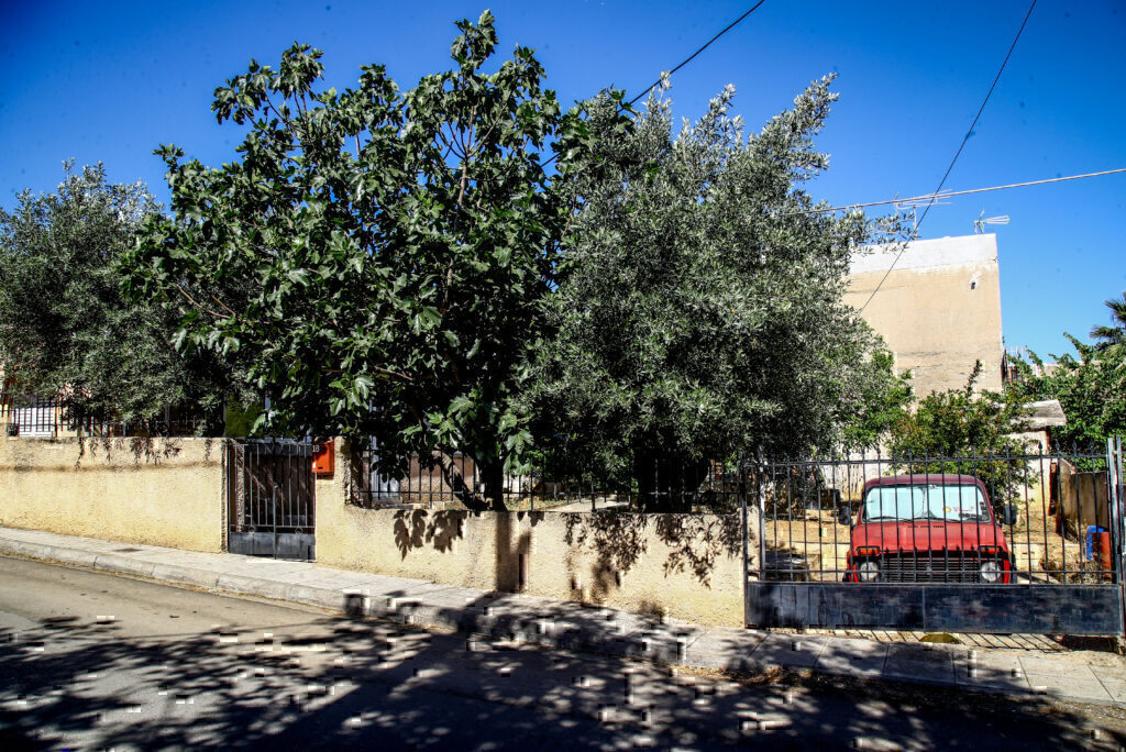 Φρίκη στα Λιόσια: Ποινική δίωξη στον 59χρονο που έκαψε την σορό του πατέρα του – Μεταθανάτιες οι κακώσεις στη σορό