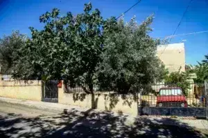 Λιόσια: Ποινική δίωξη στον 59χρονο που έκαψε την σορό του πατέρα του