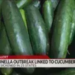 Σαλμονέλα και στα αγγούρια: Ξέσπασε επιδημία σε πάνω από 25 πολιτείες της Αμερικής