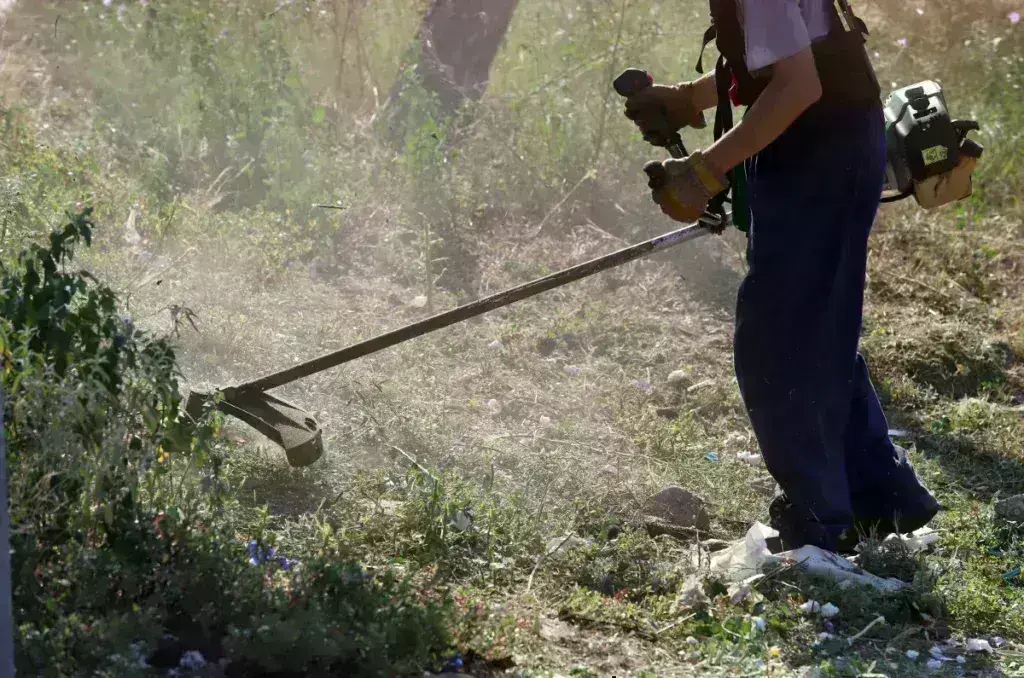 Ακαθάριστα οικόπεδα