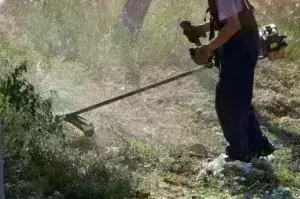 Ακαθάριστα οικόπεδα