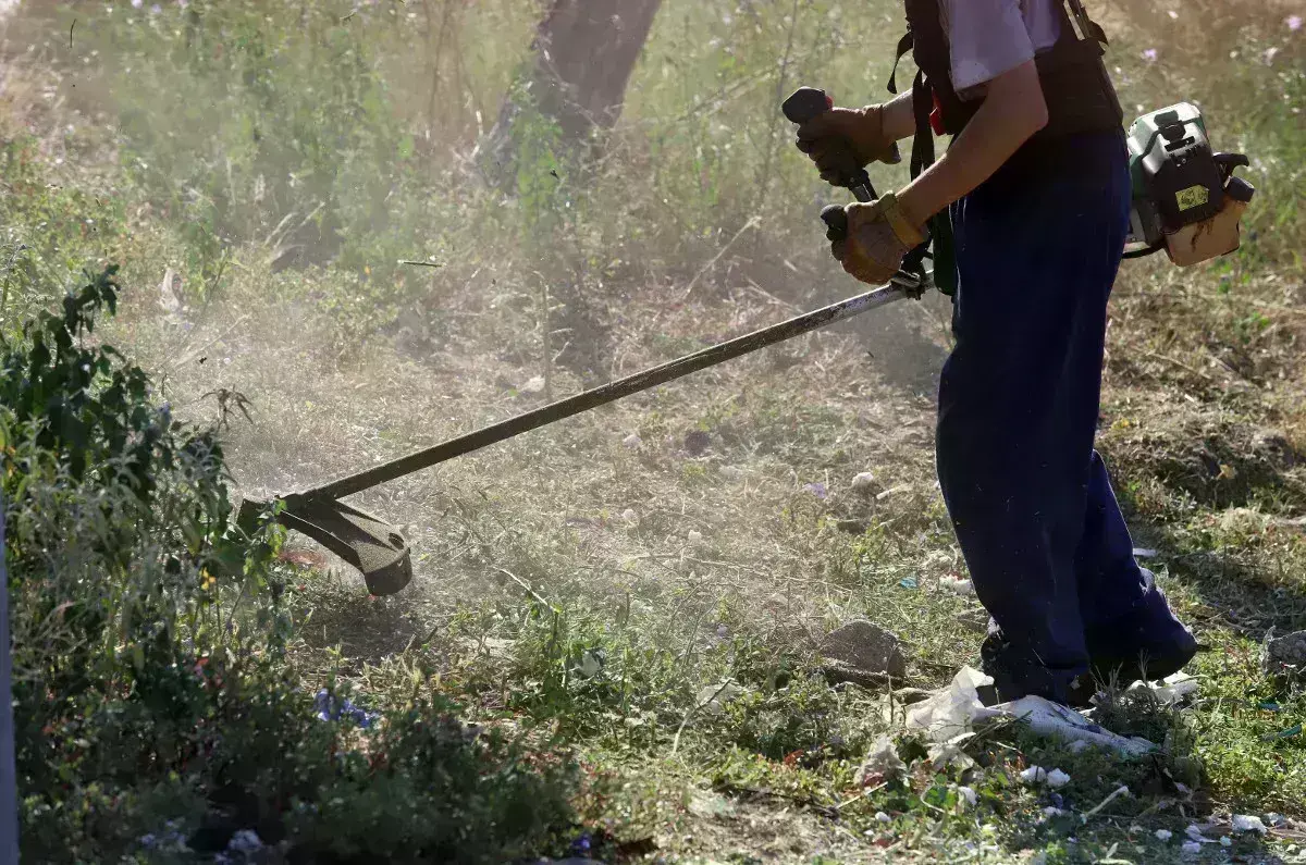 Ακαθάριστα οικόπεδα