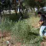 Καθαρισμός οικοπέδων Ακαθάριστα οικόπεδα