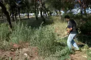 Καθαρισμός οικοπέδων Ακαθάριστα οικόπεδα