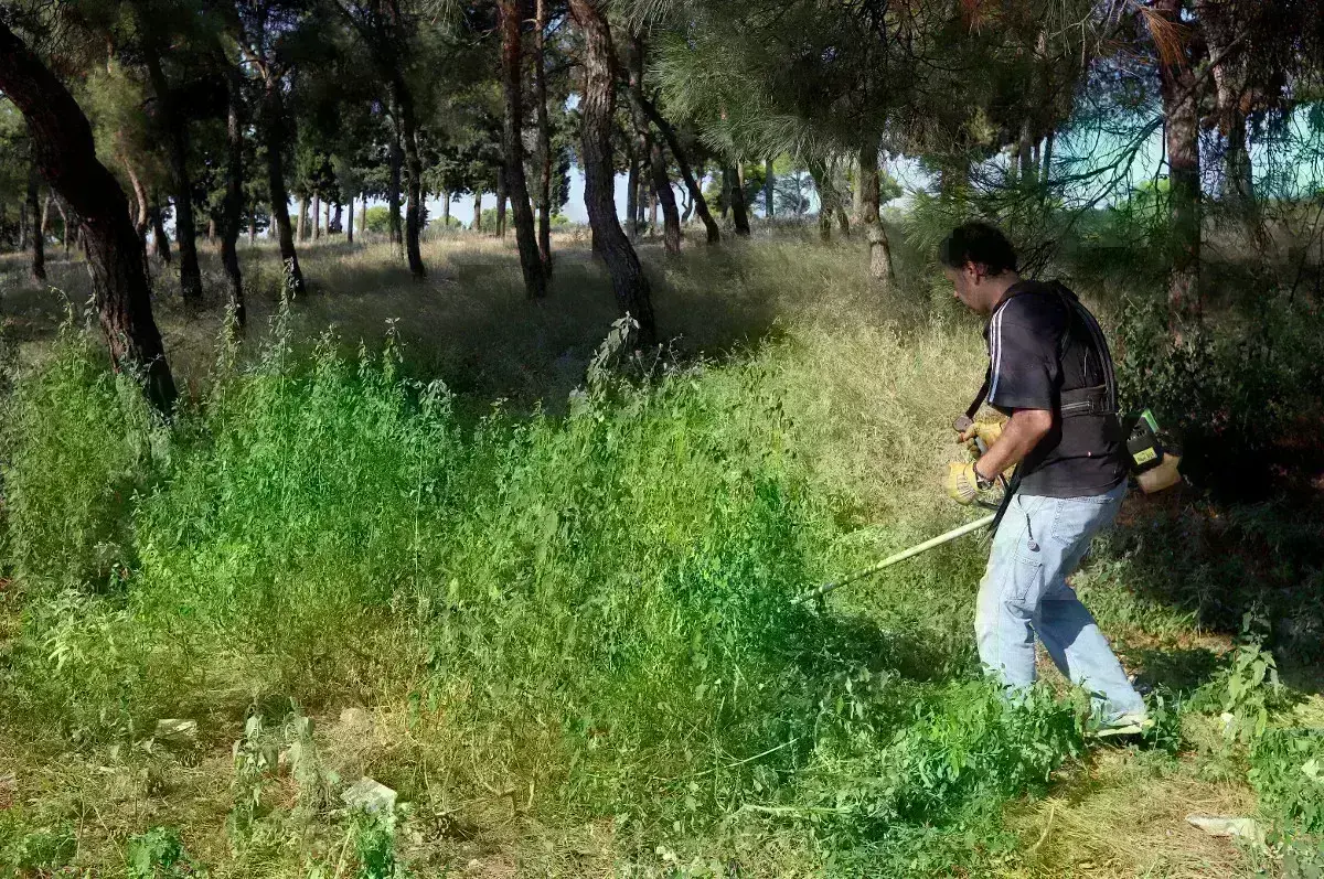 Καθαρισμός οικοπέδων Ακαθάριστα οικόπεδα