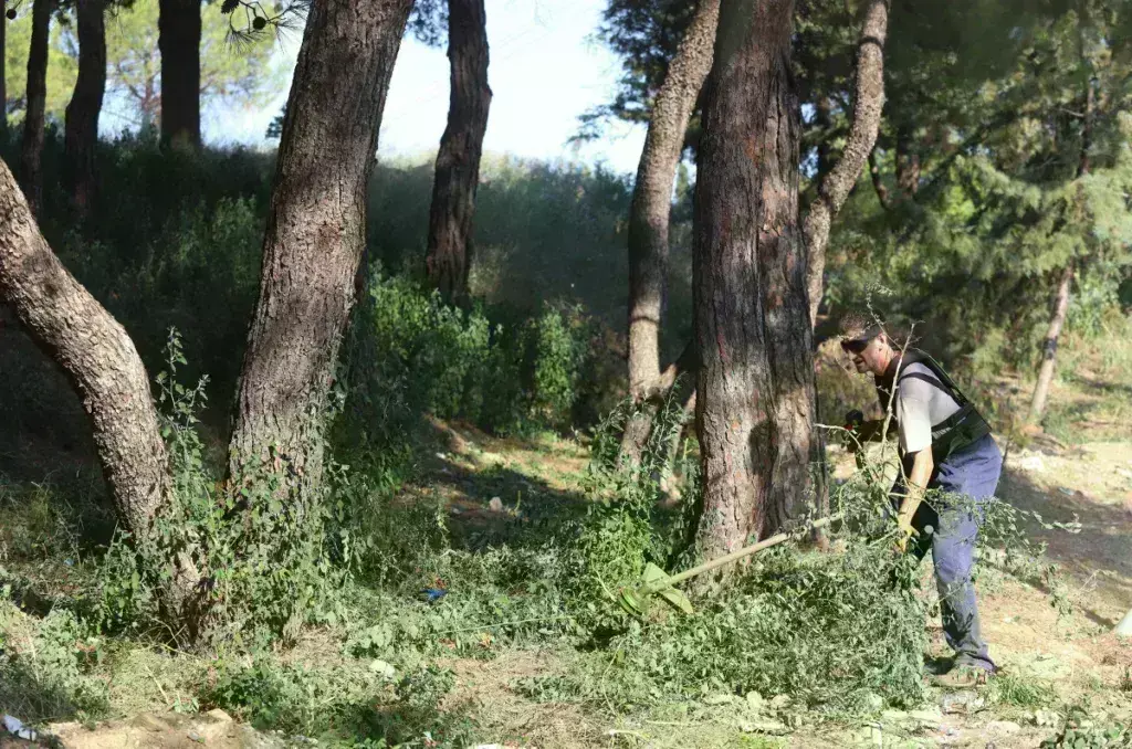 Καθαρισμός οικοπέδων: Πότε λήγει η προθεσμία για τις δηλώσεις