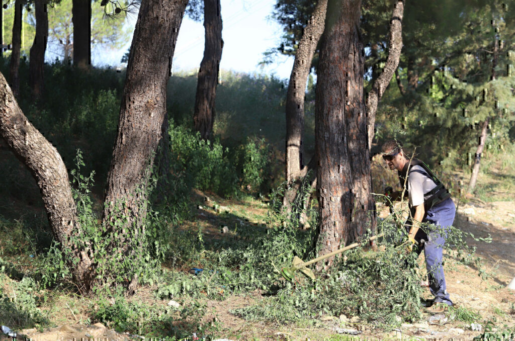 Καθαρισμός οικοπέδων: Πότε λήγει η προθεσμία για τις δηλώσεις