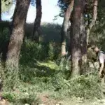 Καθαρισμός οικοπέδων: Πότε λήγει η προθεσμία για τις δηλώσεις