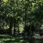 Κίνδυνος πυρκαγιάς: Κλειστά τα πάρκα της Αττικής-Απαγόρευση κυκλοφορίας σε δάση και άλση