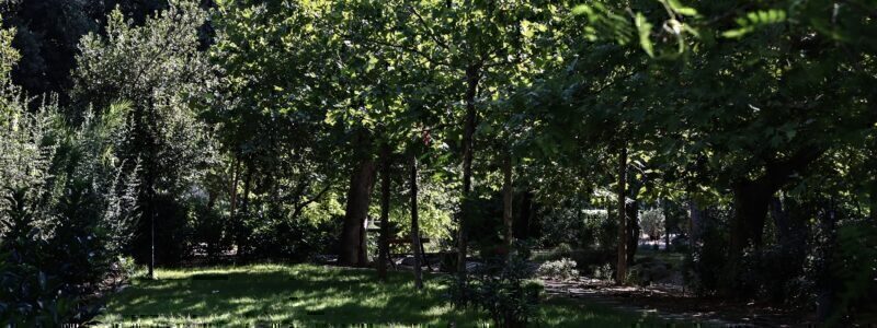 Κίνδυνος πυρκαγιάς: Κλειστά τα πάρκα της Αττικής-Απαγόρευση κυκλοφορίας σε δάση και άλση