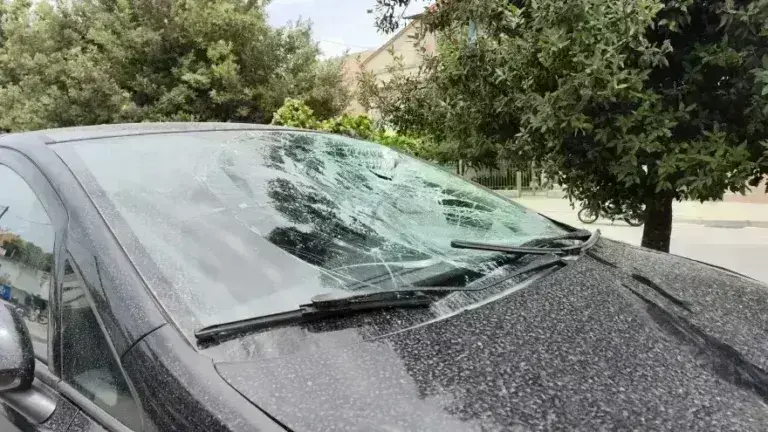 Τροχαίο στην Πρέβεζα: 16χρονος πήγε να αποφύγει σκύλο και έπεσε πάνω σε διερχόμενο όχημα