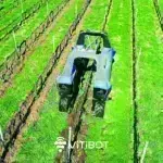 Ρομπότ αντί για εργάτες στα αμπέλια