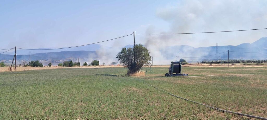 Φωτιά τώρα στην Ελάτεια Φθιώτιδας [εικόνες και βίντεο]