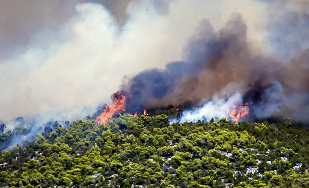 Φωτιά στην Εύβοια: Τεράστια η μάχη με τις φλόγες και εκκενώσεις οικισμών – Επιχειρούν και οι Έ