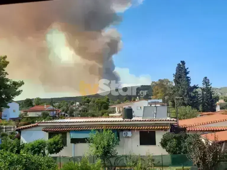Φωτιά στην Εύβοια: Τιτάνια μάχη για να προστατευτούν τα σπίτια – Εντολή εκκένωσης για τρεις περιοχές