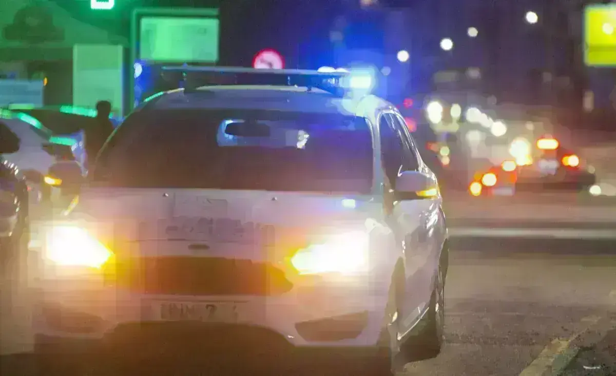 Γερμανία ομογενής