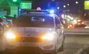 Γερμανία ομογενής