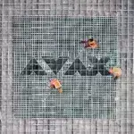 ΑΒΑΞ : 120 εκατ. ευρώ λειτουργικά κέρδη – 2.8 εκατ. ευρώ το ανεκτέλεστο