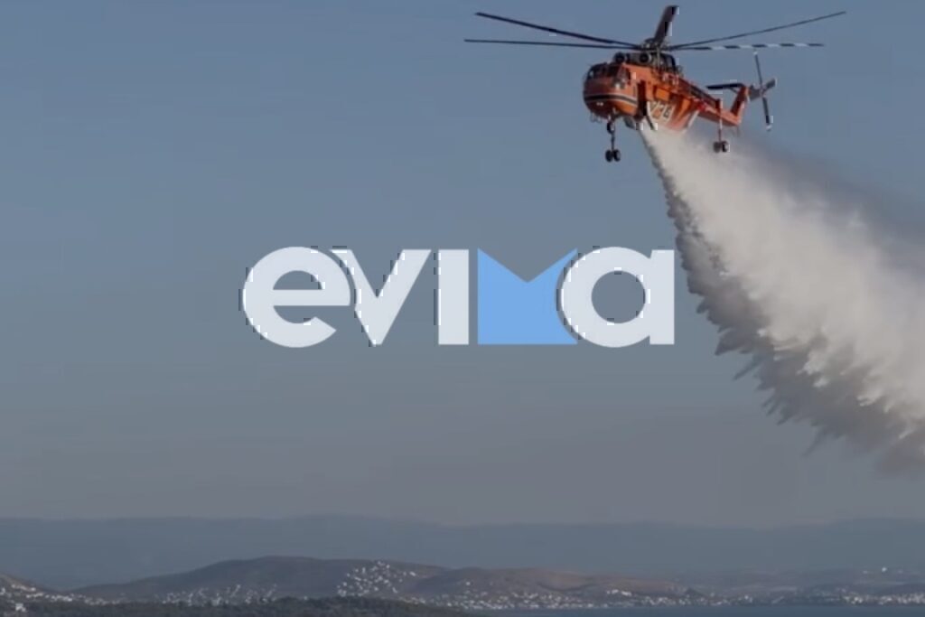 Μεγάλη φωτιά τώρα στην Εύβοια – Στη «μάχη» της κατάσβεσης και εναέρια μέσα