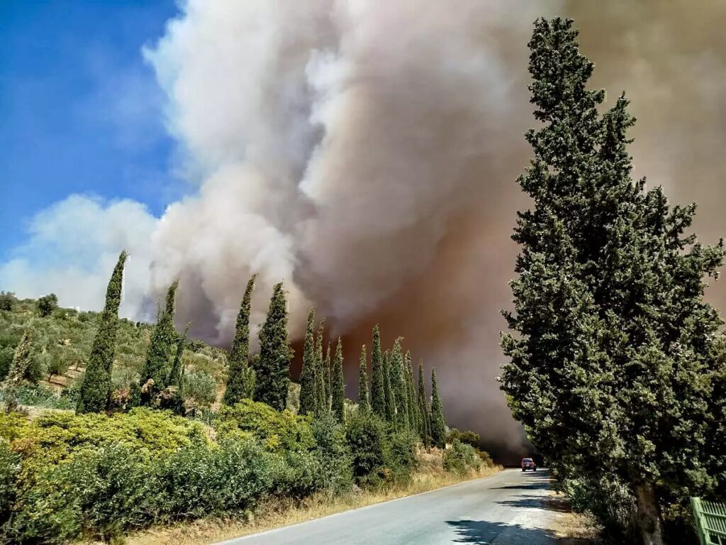 Φωτιά στο χωριό Άγιος Βασίλης στην Τρίπολη –  Kοντά σε εργοστάσιο
