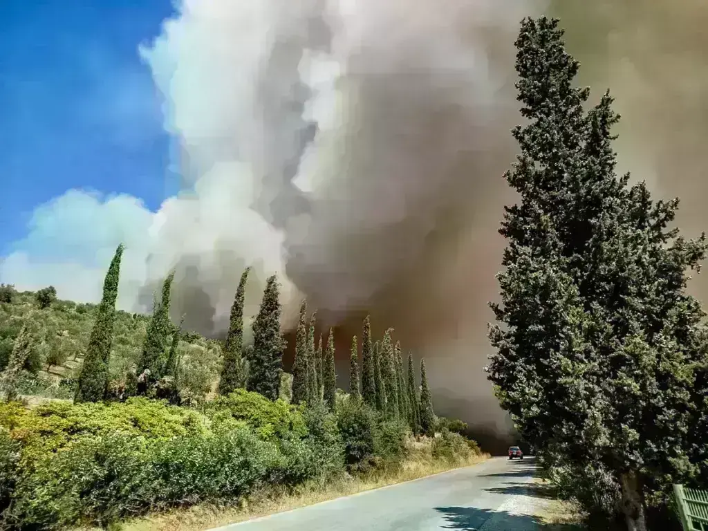 Φωτιά στο χωριό Άγιος Βασίλης στην Τρίπολη – Kοντά σε εργοστάσιο