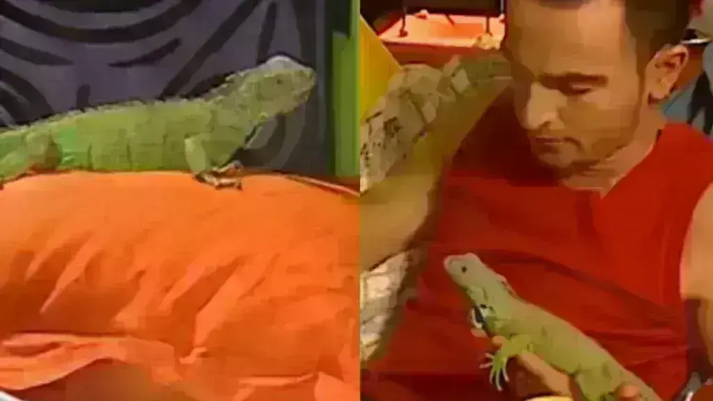 Είσαι το ταίρι μου