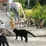 Διηγήματα του καλοκαιριού στον ΕΤ και το Eleftherostypos.gr: Μου λείπει πολύ η γειτονιά μας…