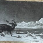 Καρτ ποστάλ που παραδόθηκε με 121 χρόνια καθυστέρηση επανένωσε μία οικογένεια