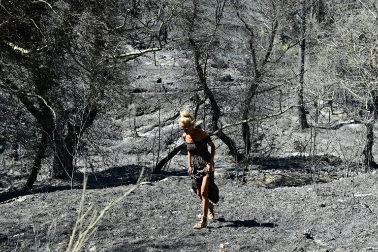 Μειωμένες κατά 33% οι καμένες εκτάσεις στην Ελλάδα φέτος σύμφωνα με το Copernicus