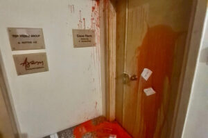 Έλενα Ράπτη