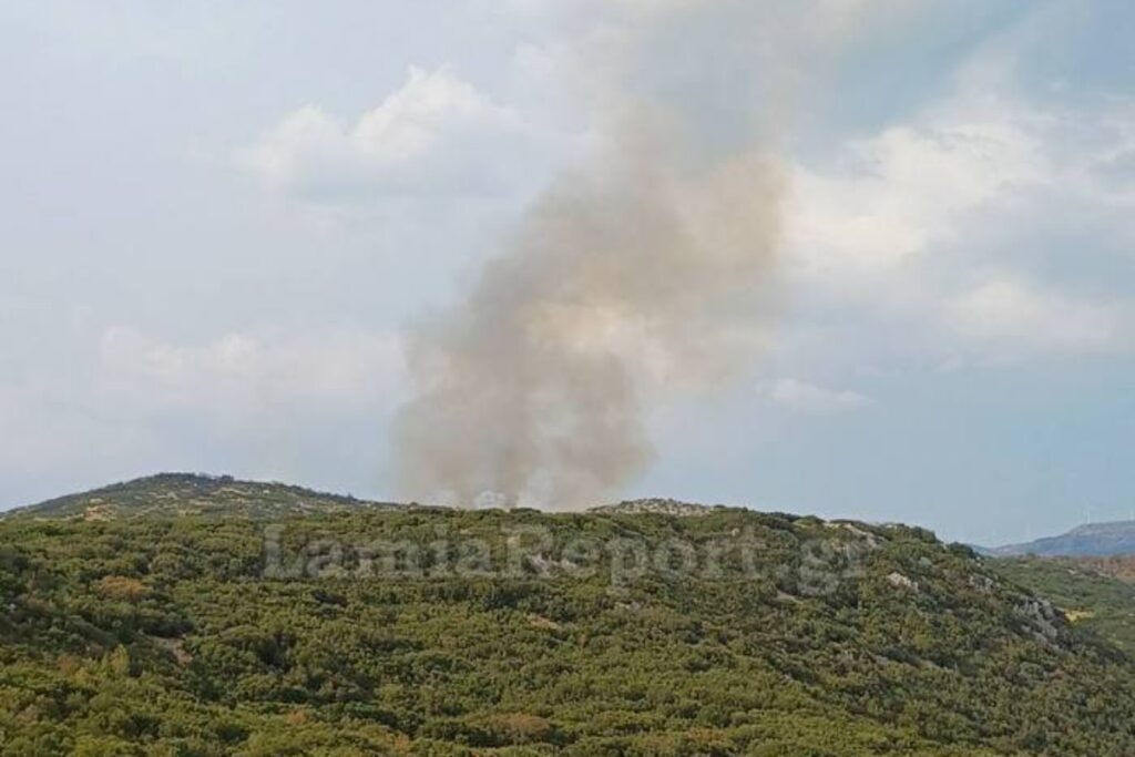 Μεγάλη φωτιά στη Στυλίδα: Σε εξέλιξη δύο πύρινα μέτωπα, καίγεται δάσος – Ενισχύονται τα εναέρι