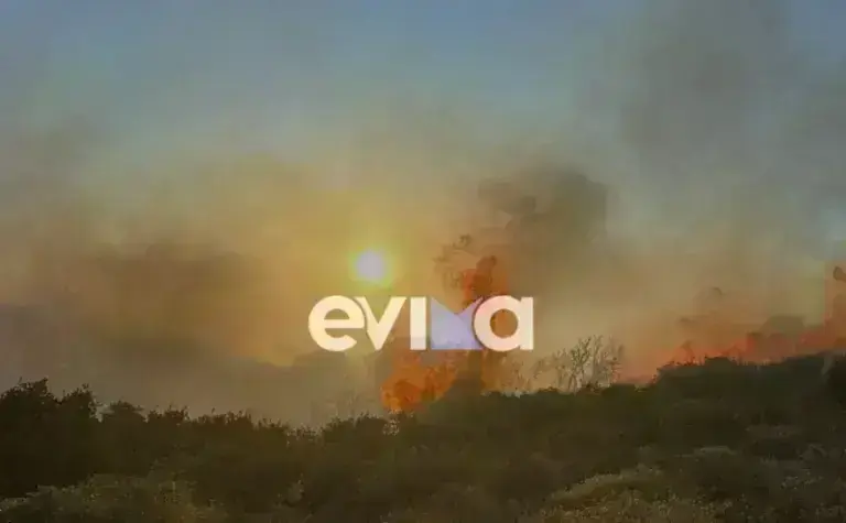Εύβοια: Δύσκολη η κατάσβεση της φωτιάς στους Καλλιανούς της Καρύστου – Εστάλη μήνυμα του 112