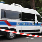 Κορσική: Συνελήφθησαν έφηβοι που σκότωσαν αγελάδα και μοσχαράκι και ανέβασαν βίντεο στα social media