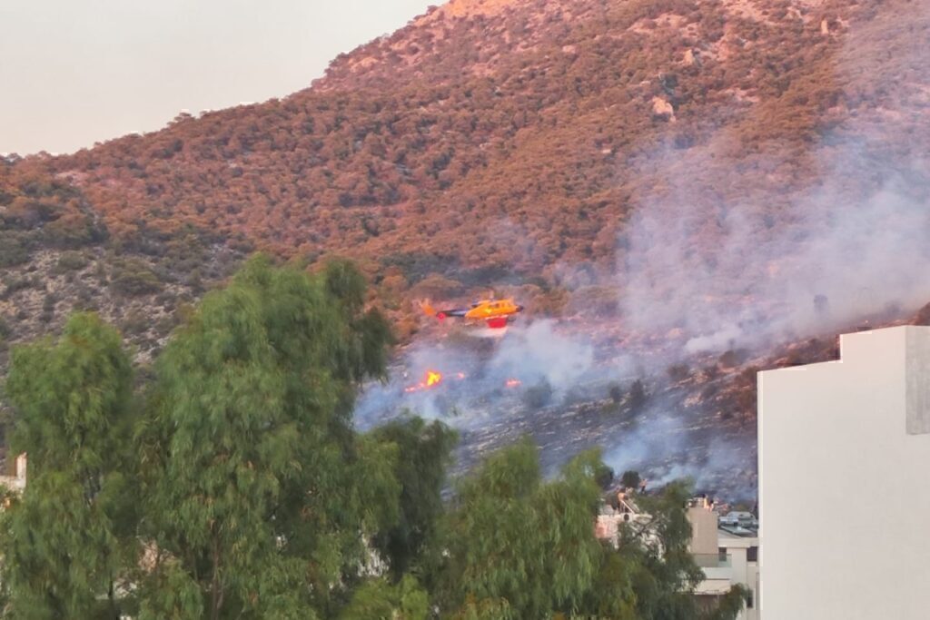 Φωτιά στη Γλυφάδα: Πρόστιμο 4.640 ευρώ στους 14χρονους συλληφθέντες – Σήμερα στον εισαγγελέα