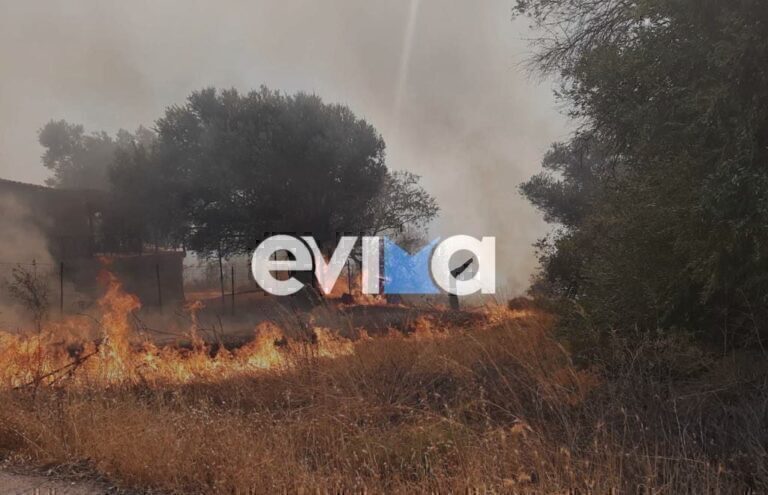 Φωτιά στην Ερέτρια Ευβοίας – Μήνυμα του 112 για εκκένωση