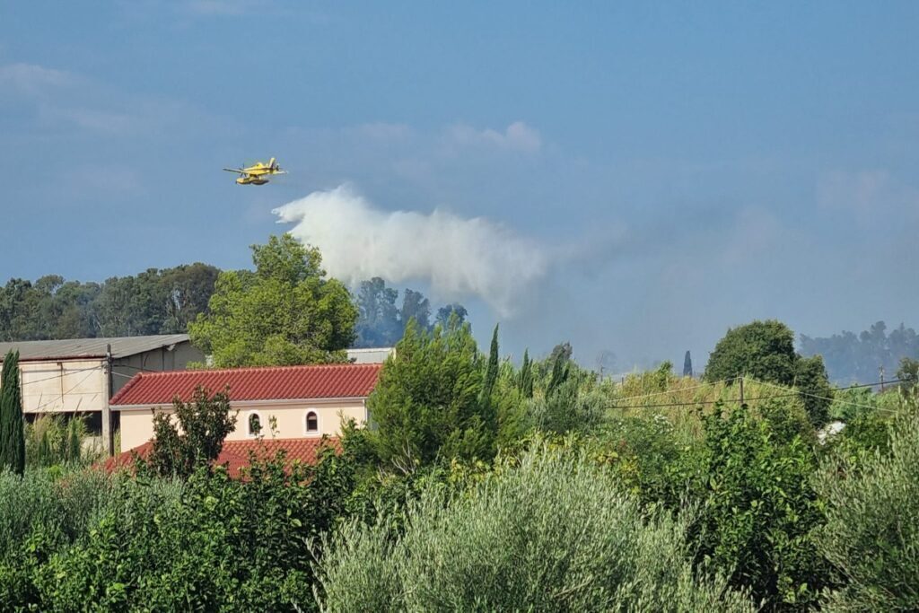 Φωτιά στην Πρέβεζα: Οριοθετήθηκε το πύρινο μέτωπο – Οι πρώτες εικόνες