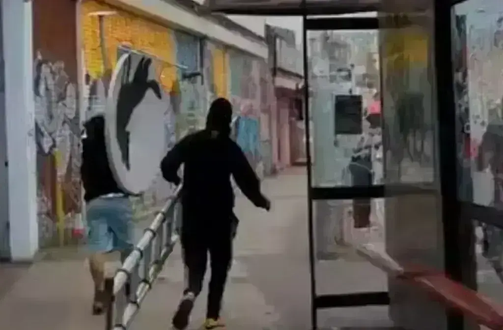 Nέο έργο του Μπάνκσι που εικονίζει ζώα κλάπηκε μία ώρα αφού παρουσιάστηκε σε στέγη – Δείτε βίν