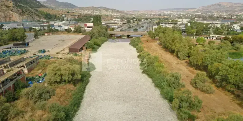Βόλος: Σοκάρουν οι εικόνες από τη «θάλασσα» νεκρών ψαριών [βίντεο]