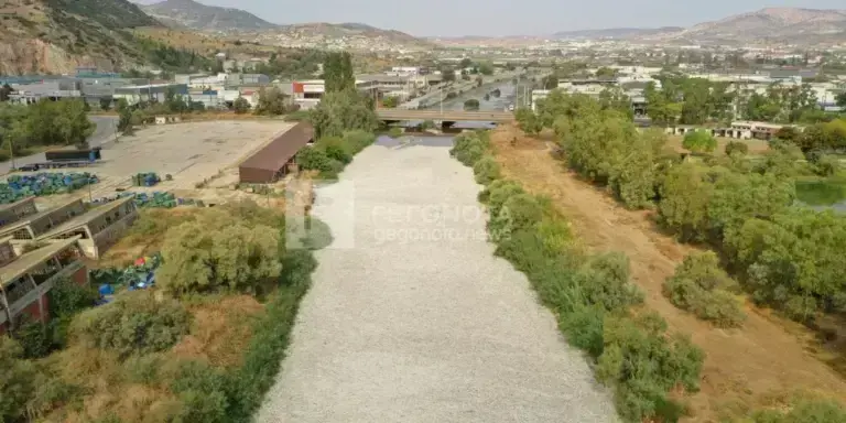 Βόλος: Σοκάρουν οι εικόνες από τη «θάλασσα» νεκρών ψαριών [βίντεο]