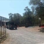 Ρέθυμνο: Ανατροπή- Τι συνέβη τελικά με τον κτηνοτρόφο- Ποιος και γιατί του έκοψε τη γλώσσα;