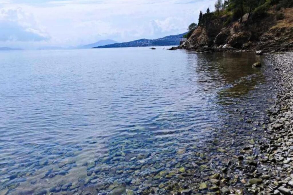Βόλος: Αυτό είναι το σημείο που βρέθηκε νεκρός ο 40χρονος – Το τηλεφώνημα στο νοσοκομείο και η απάντηση της υπαλλήλου [βίντεο]