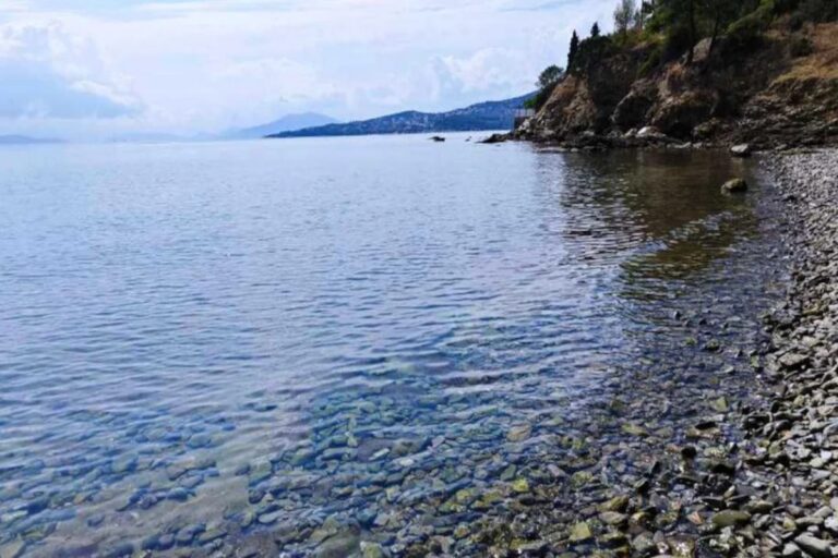Βόλος: Αυτό είναι το σημείο που βρέθηκε νεκρός ο 40χρονος – Το τηλεφώνημα στο νοσοκομείο και η απάντηση της υπαλλήλου [βίντεο]