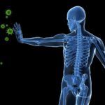 Ανοσοποιητικό σύστημα και εξωσωματική γονιμοποίηση: Υπάρχει σύνδεση;