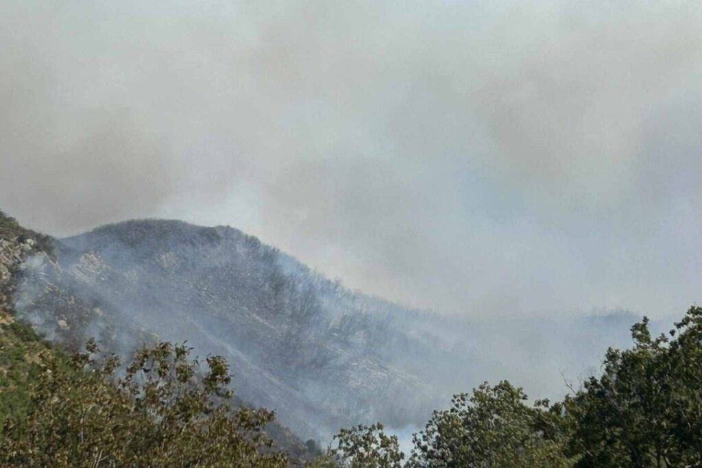 Φωτιά στο νησί της Ίου – Στο σημείο βρίσκονται τέσσερα εναέρια μέσα
